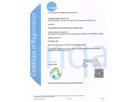 IATF16949��Ӣ�ģ�